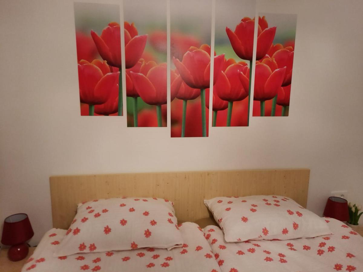 Apartma Rozle Mojstrana Exteriér fotografie