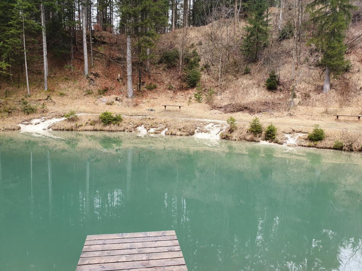 Apartma Rozle Mojstrana Exteriér fotografie