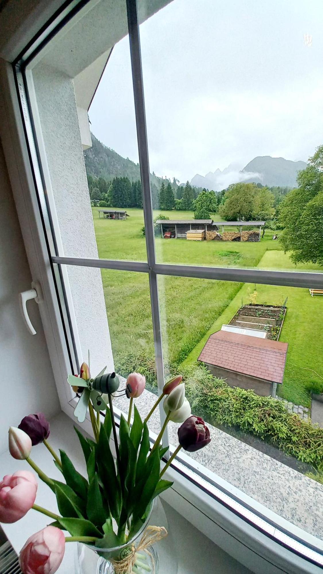 Apartma Rozle Mojstrana Exteriér fotografie
